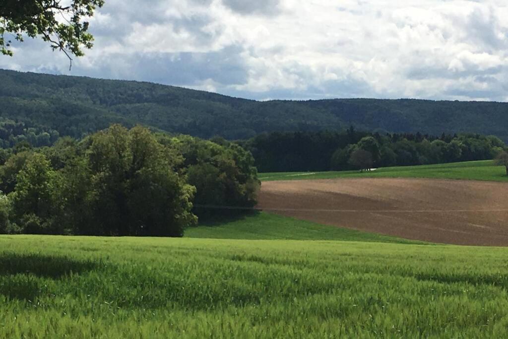 Havre De Paix Dans Le Jura Alsacien Avec Piscine Privee Externe De Mai A Septembre Villa Bendorf Eksteriør bilde